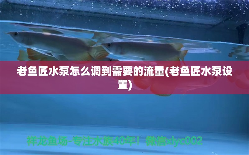 老魚匠水泵怎么調(diào)到需要的流量(老魚匠水泵設(shè)置)