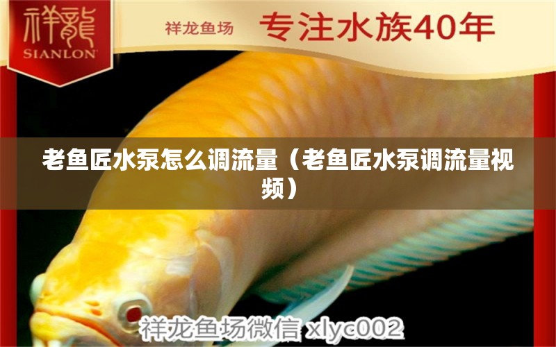 老魚匠水泵怎么調(diào)流量（老魚匠水泵調(diào)流量視頻） 老魚匠