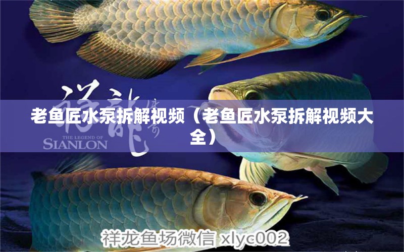 老魚匠水泵拆解視頻（老魚匠水泵拆解視頻大全） 老魚匠