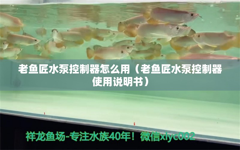 老魚匠水泵控制器怎么用（老魚匠水泵控制器使用說明書）