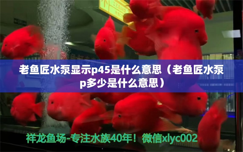 老魚匠水泵顯示p45是什么意思（老魚匠水泵p多少是什么意思） 老魚匠