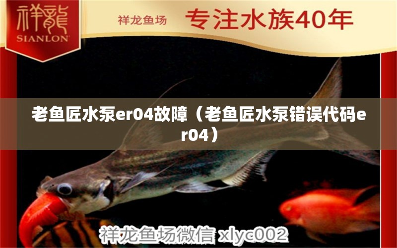 老魚匠水泵er04故障（老魚匠水泵錯(cuò)誤代碼er04）