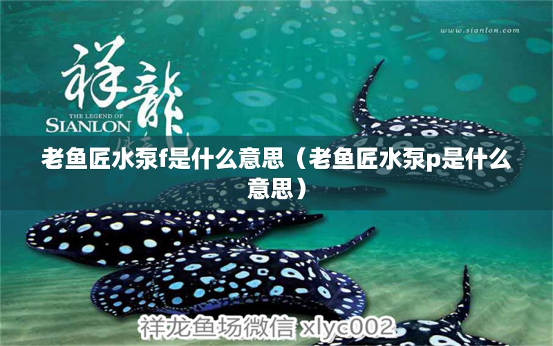 老魚匠水泵f是什么意思（老魚匠水泵p是什么意思）