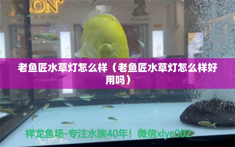 老魚匠水草燈怎么樣（老魚匠水草燈怎么樣好用嗎）