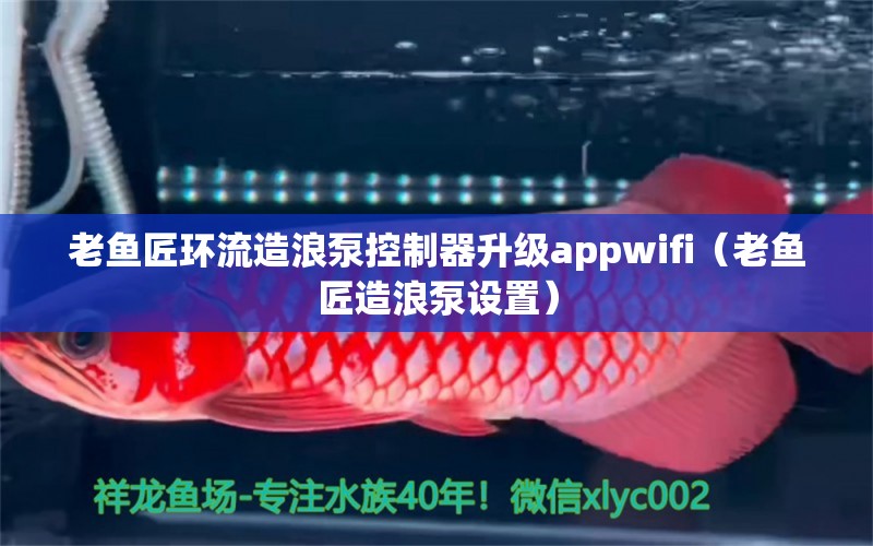 老魚匠環(huán)流造浪泵控制器升級appwifi（老魚匠造浪泵設置）