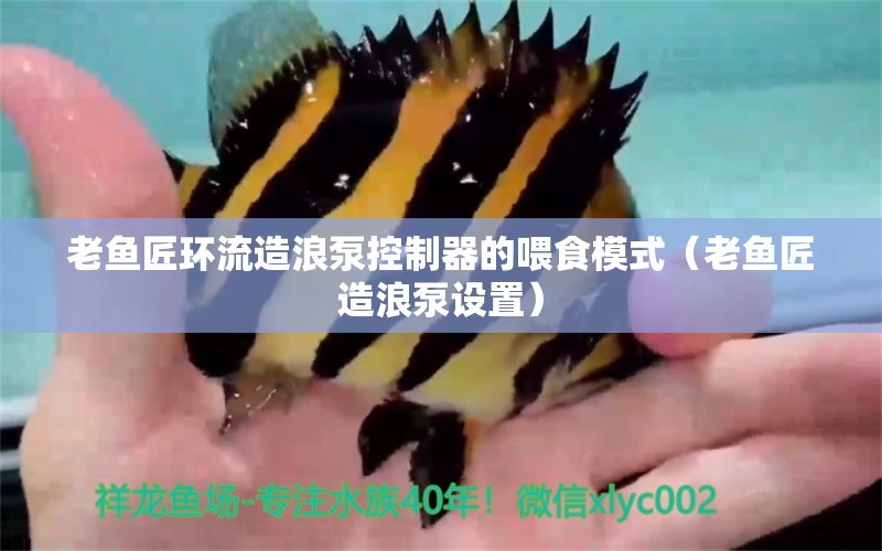 老魚匠環(huán)流造浪泵控制器的喂食模式（老魚匠造浪泵設(shè)置）