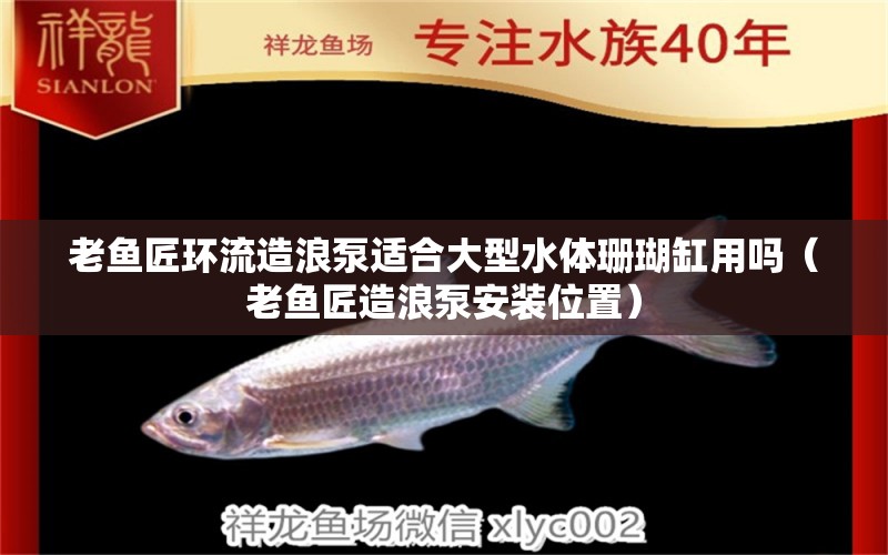 老魚匠環(huán)流造浪泵適合大型水體珊瑚缸用嗎（老魚匠造浪泵安裝位置）