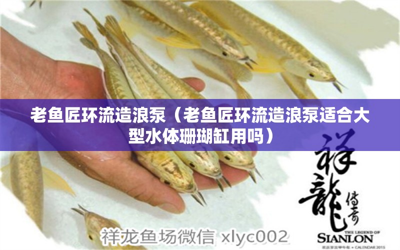 老魚(yú)匠環(huán)流造浪泵（老魚(yú)匠環(huán)流造浪泵適合大型水體珊瑚缸用嗎） 老魚(yú)匠