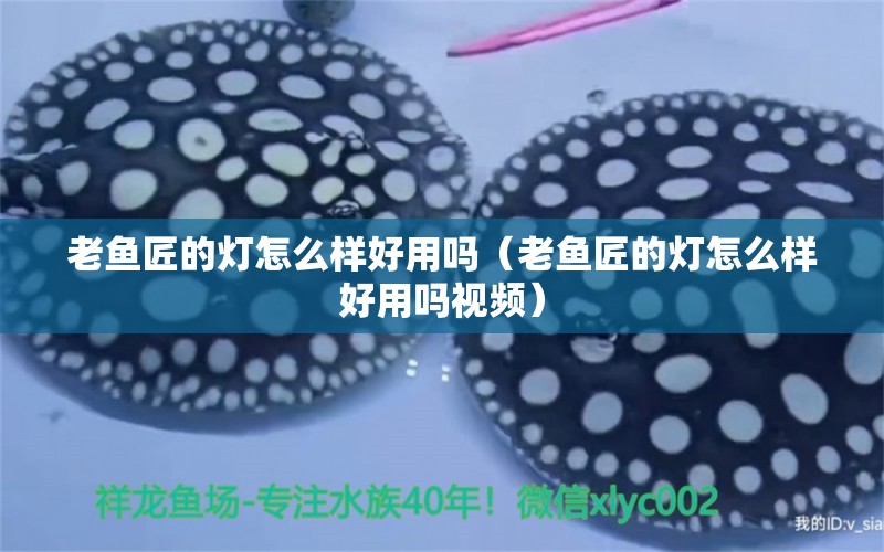 老魚(yú)匠的燈怎么樣好用嗎（老魚(yú)匠的燈怎么樣好用嗎視頻） 老魚(yú)匠