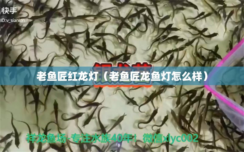 老魚匠紅龍燈（老魚匠龍魚燈怎么樣）