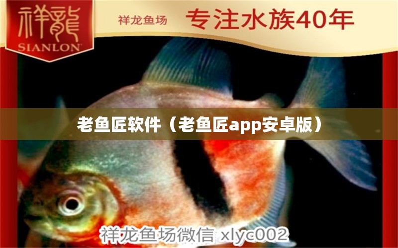 老魚匠軟件（老魚匠app安卓版） 老魚匠