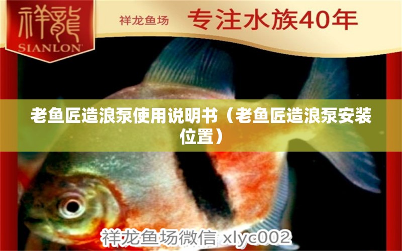 老魚匠造浪泵使用說明書（老魚匠造浪泵安裝位置） 印尼虎苗