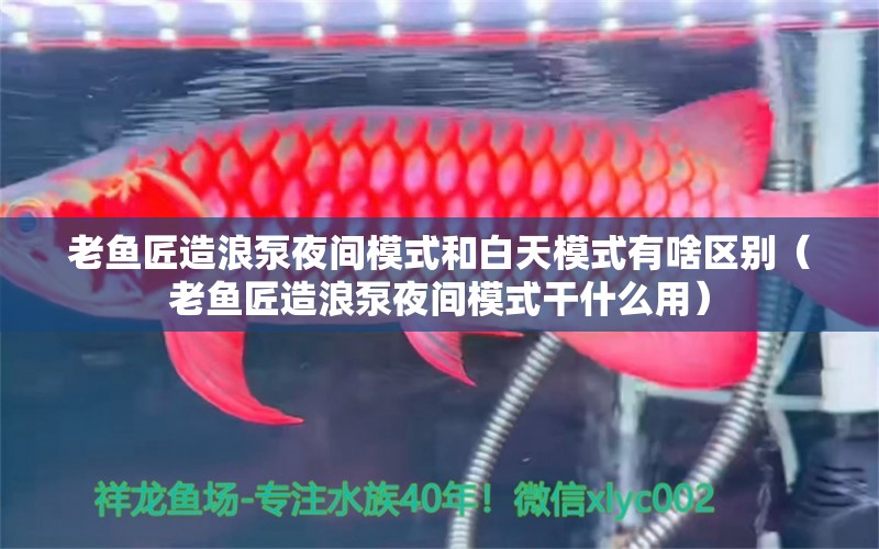 老魚匠造浪泵夜間模式和白天模式有啥區(qū)別（老魚匠造浪泵夜間模式干什么用）