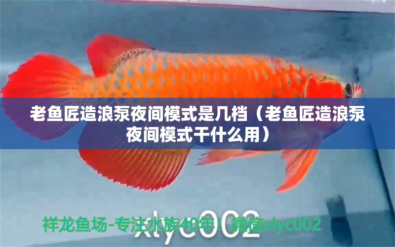 老魚匠造浪泵夜間模式是幾檔（老魚匠造浪泵夜間模式干什么用）