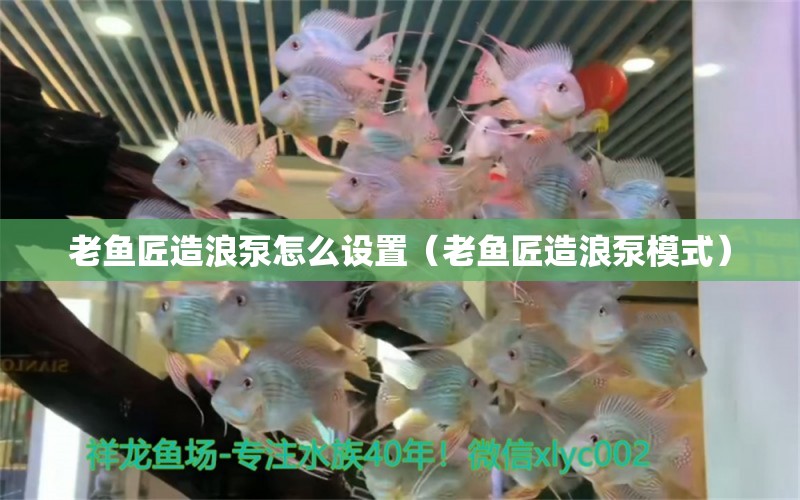 老魚匠造浪泵怎么設置（老魚匠造浪泵模式）