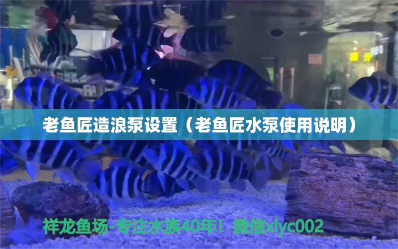 老魚匠造浪泵設(shè)置（老魚匠水泵使用說明）