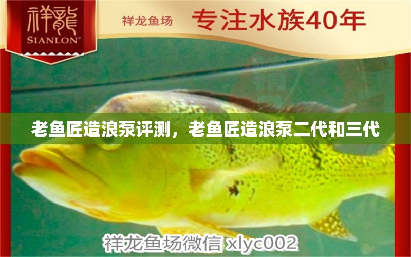 老魚匠造浪泵評測，老魚匠造浪泵二代和三代 老魚匠 第1張