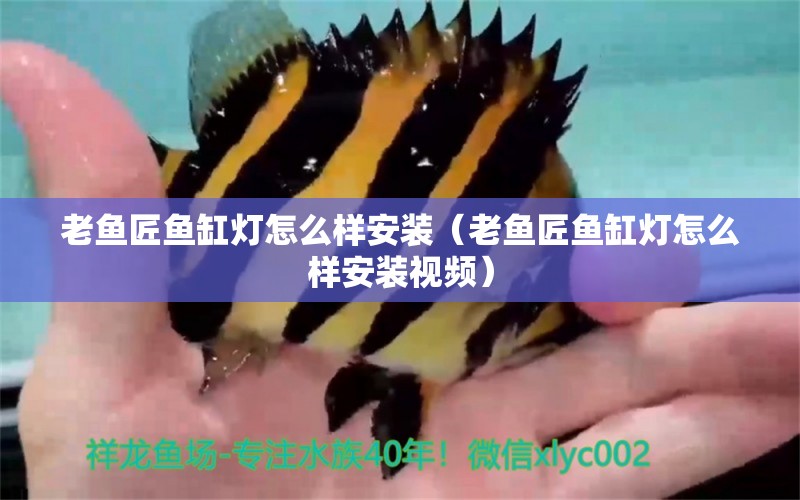 老魚匠魚缸燈怎么樣安裝（老魚匠魚缸燈怎么樣安裝視頻） 老魚匠