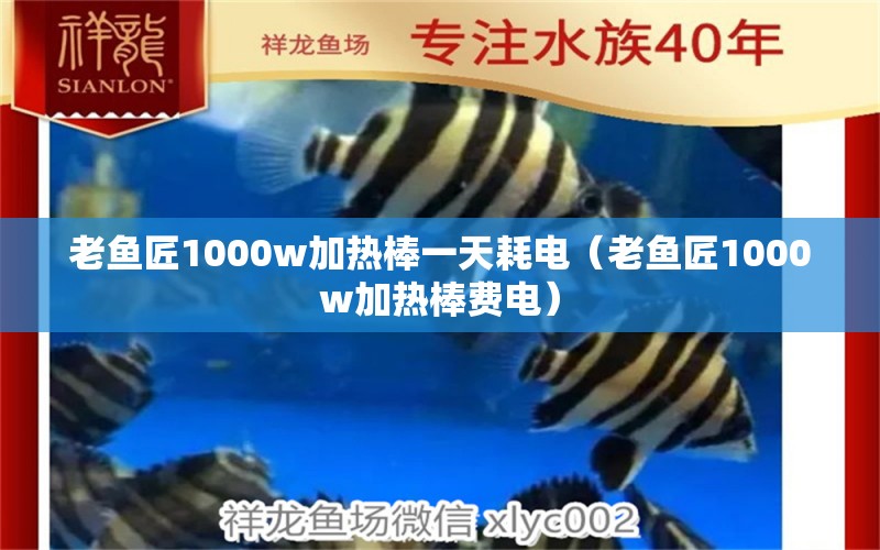 老魚匠1000w加熱棒一天耗電（老魚匠1000w加熱棒費電） 老魚匠