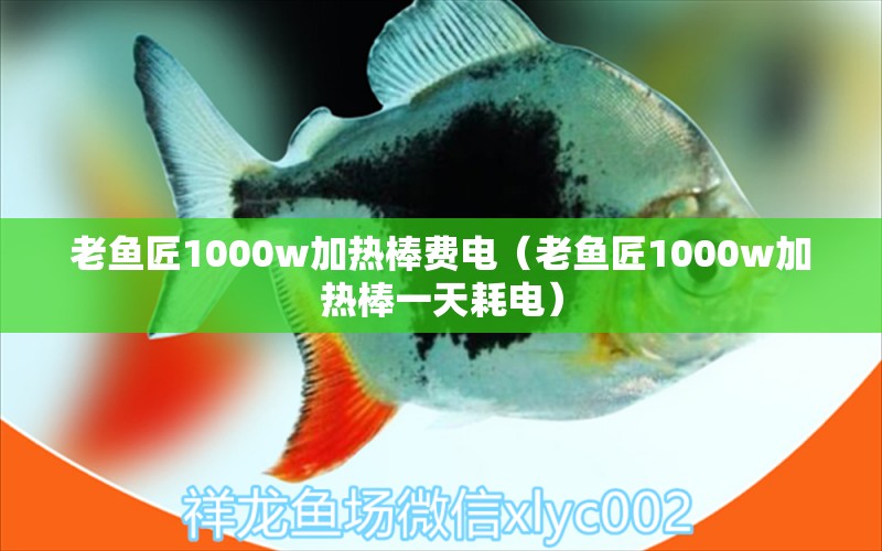 老魚匠1000w加熱棒費(fèi)電（老魚匠1000w加熱棒一天耗電） 老魚匠