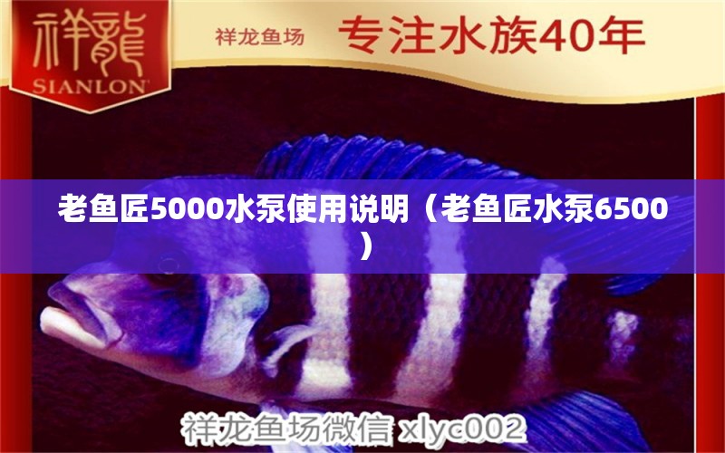 老魚匠5000水泵使用說明（老魚匠水泵6500）