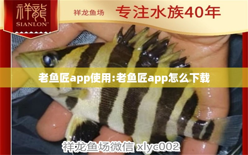 老魚匠app使用:老魚匠app怎么下載 老魚匠 第1張