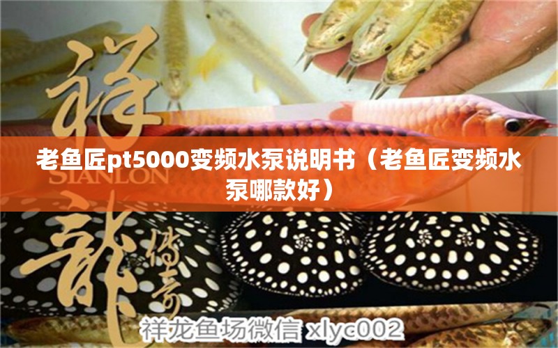 老魚(yú)匠pt5000變頻水泵說(shuō)明書(shū)（老魚(yú)匠變頻水泵哪款好） 老魚(yú)匠