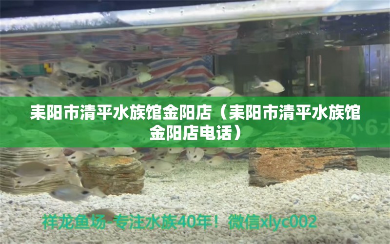 耒陽市清平水族館金陽店（耒陽市清平水族館金陽店電話） 全國水族館企業(yè)名錄