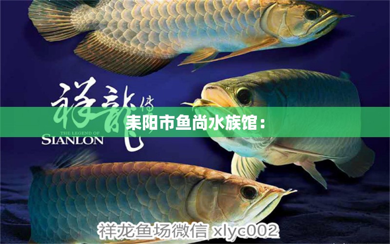 耒陽市魚尚水族館：