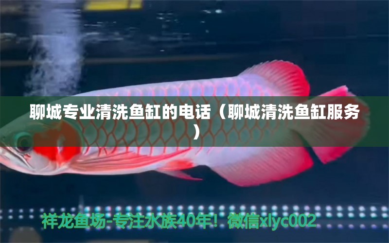 聊城專業(yè)清洗魚缸的電話（聊城清洗魚缸服務） 其他品牌魚缸