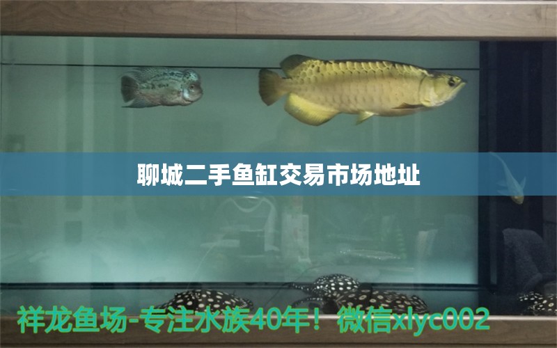 聊城二手魚缸交易市場地址