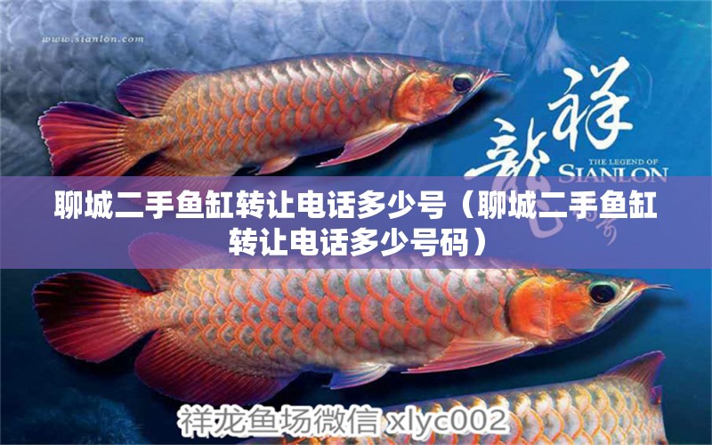 聊城二手魚缸轉(zhuǎn)讓電話多少號（聊城二手魚缸轉(zhuǎn)讓電話多少號碼） 黃鰭鯧魚