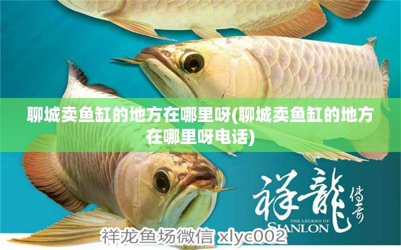 聊城賣(mài)魚(yú)缸的地方在哪里呀(聊城賣(mài)魚(yú)缸的地方在哪里呀電話)