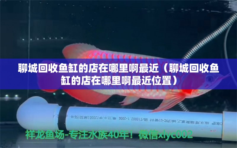 聊城回收魚缸的店在哪里啊最近（聊城回收魚缸的店在哪里啊最近位置）