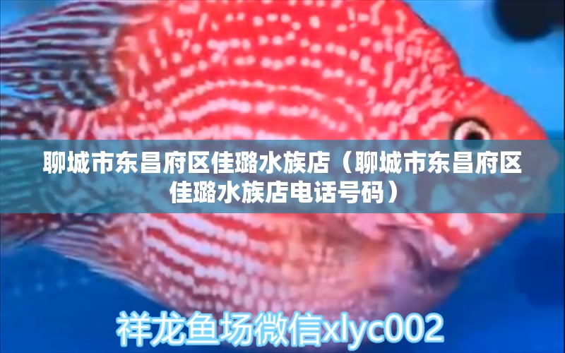 聊城市東昌府區(qū)佳璐水族店（聊城市東昌府區(qū)佳璐水族店電話號碼） 全國水族館企業(yè)名錄