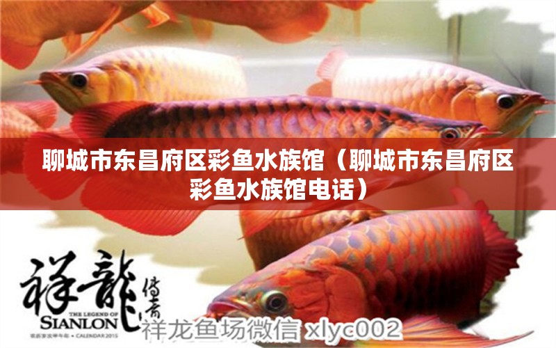 聊城市東昌府區(qū)彩魚水族館（聊城市東昌府區(qū)彩魚水族館電話） 全國水族館企業(yè)名錄