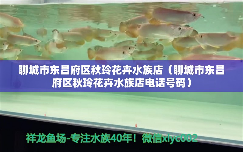 聊城市東昌府區(qū)秋玲花卉水族店（聊城市東昌府區(qū)秋玲花卉水族店電話號碼） 全國水族館企業(yè)名錄