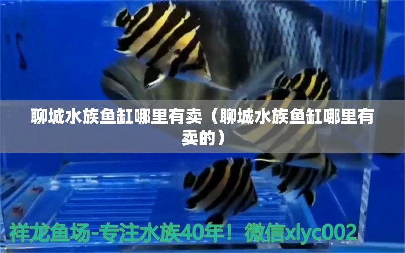 聊城水族魚缸哪里有賣（聊城水族魚缸哪里有賣的） 其他品牌魚缸