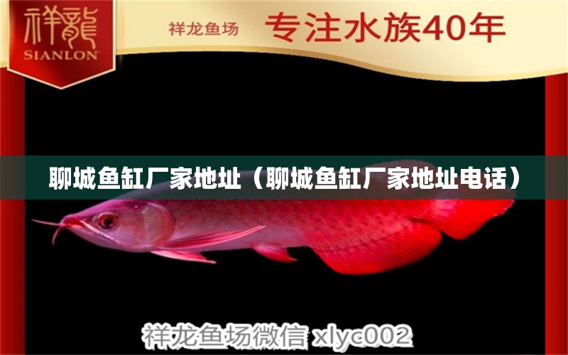 聊城魚缸廠家地址（聊城魚缸廠家地址電話） 觀賞魚市場（混養(yǎng)魚）