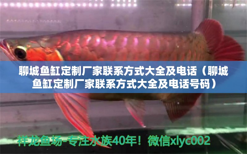 聊城魚缸定制廠家聯(lián)系方式大全及電話（聊城魚缸定制廠家聯(lián)系方式大全及電話號碼）