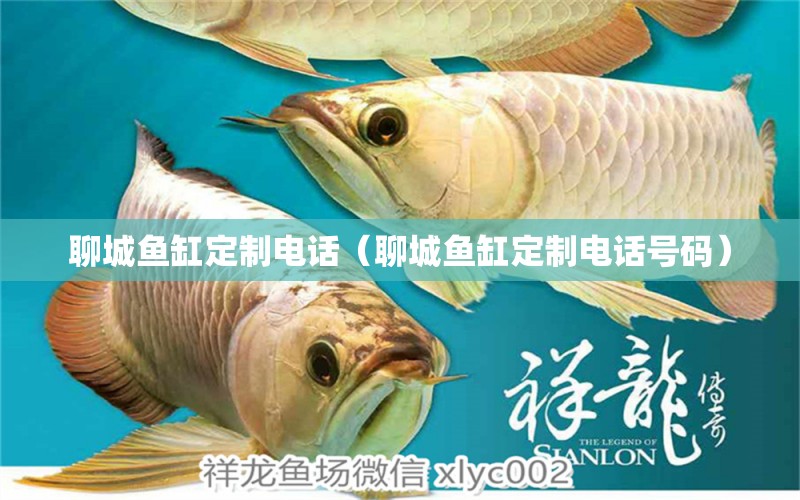 聊城魚缸定制電話（聊城魚缸定制電話號(hào)碼） 其他品牌魚缸