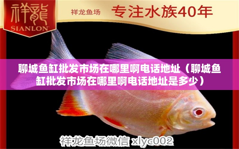 聊城魚缸批發(fā)市場在哪里啊電話地址（聊城魚缸批發(fā)市場在哪里啊電話地址是多少）