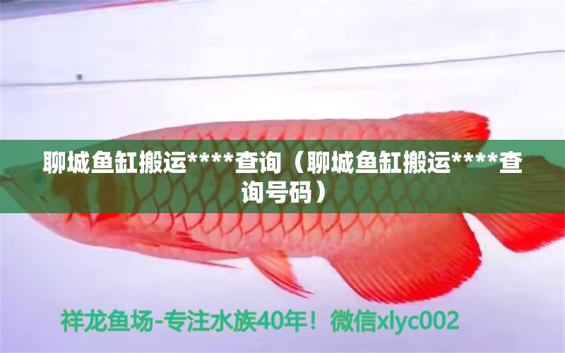 聊城魚缸搬運****查詢（聊城魚缸搬運****查詢號碼）