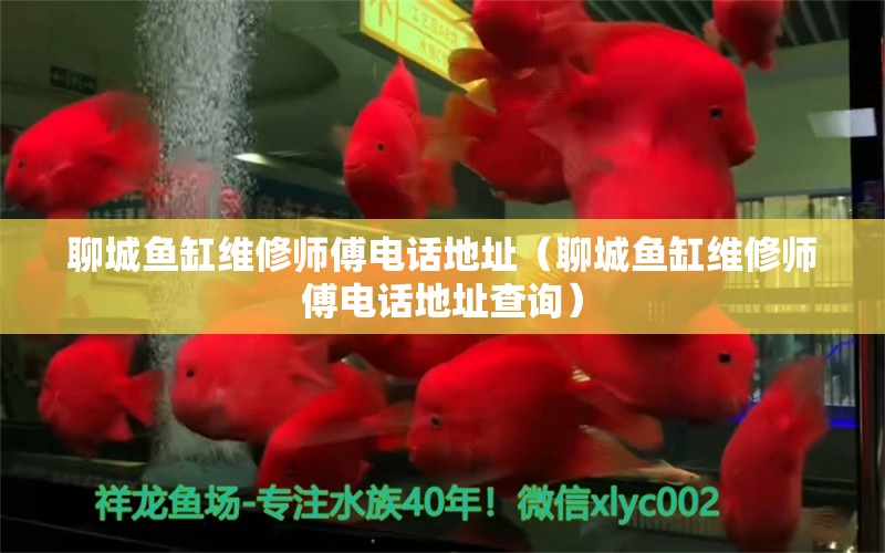 聊城魚(yú)缸維修師傅電話地址（聊城魚(yú)缸維修師傅電話地址查詢） 其他品牌魚(yú)缸