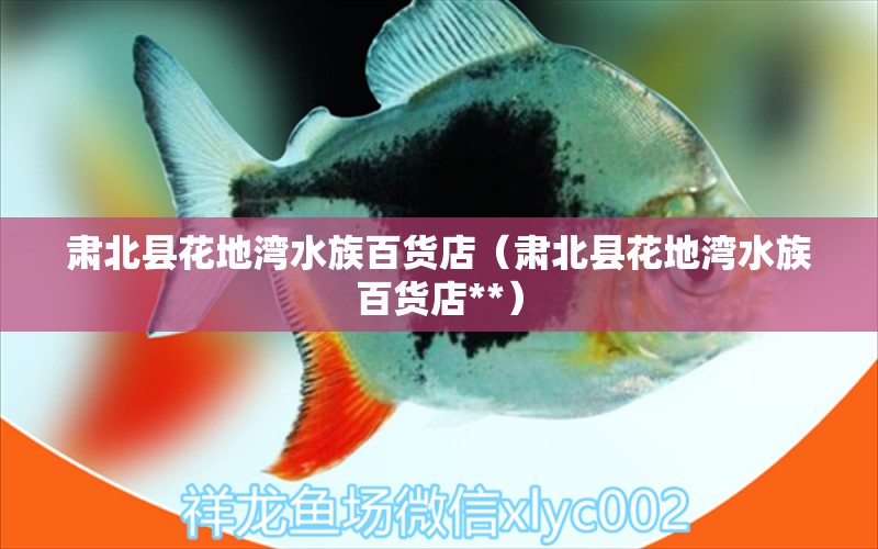 肅北縣花地灣水族百貨店（肅北縣花地灣水族百貨店**）