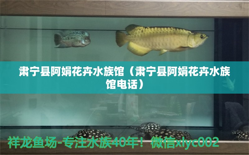 肅寧縣阿娟花卉水族館（肅寧縣阿娟花卉水族館電話） 全國水族館企業(yè)名錄