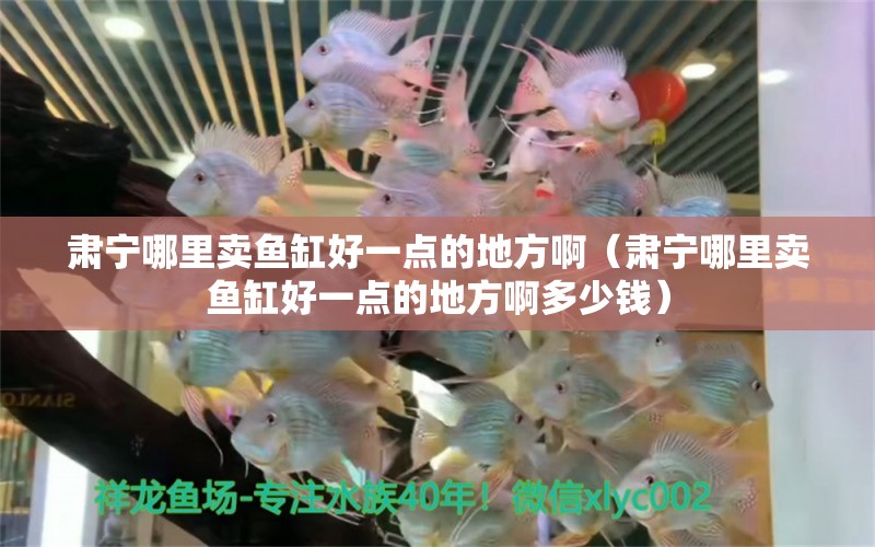 肅寧哪里賣魚缸好一點(diǎn)的地方?。C寧哪里賣魚缸好一點(diǎn)的地方啊多少錢） 祥龍水族醫(yī)院