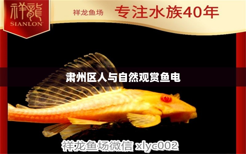 肅州區(qū)人與自然觀賞魚(yú)電