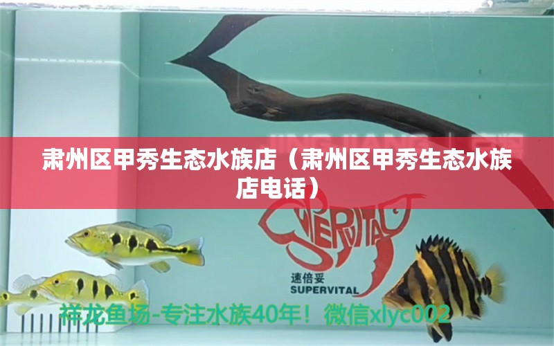 肅州區(qū)甲秀生態(tài)水族店（肅州區(qū)甲秀生態(tài)水族店電話）