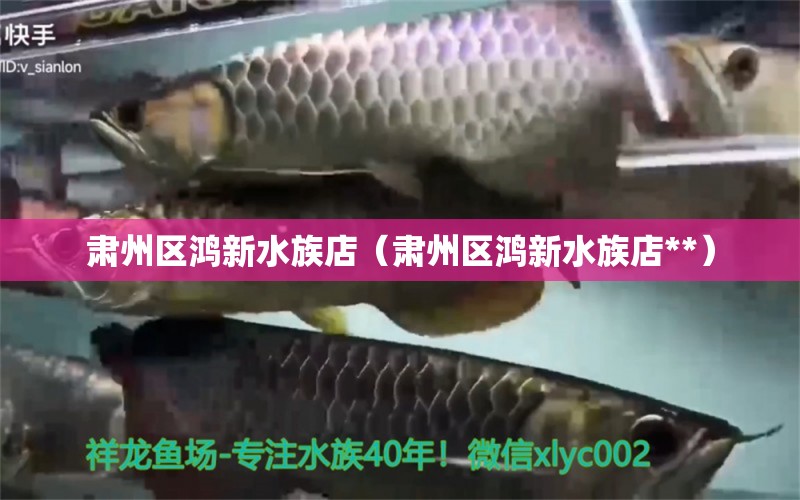 肅州區(qū)鴻新水族店（肅州區(qū)鴻新水族店**） 全國水族館企業(yè)名錄